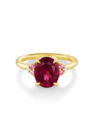 2.70ct Rubellite Tourmaline Ring prix