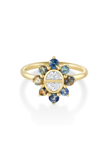 Half Moon Diamond & Montana Sapphire Ballerina Ring une grave pollution 