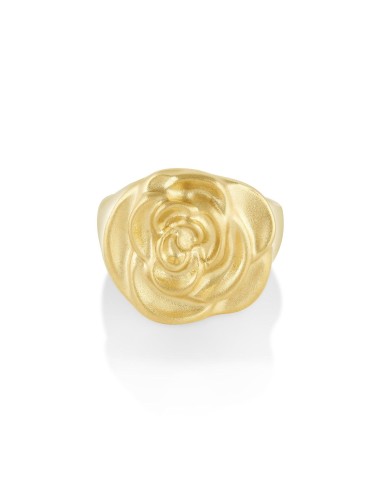 Rose Signet soldes