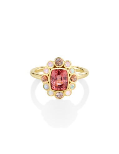 1.91ct Spinel, Opal and Montana Sapphire Petals Ring pas cher chine