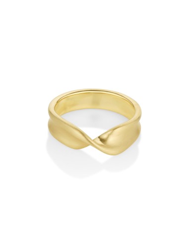 Everyday Twist Ring Comparez et commandez 