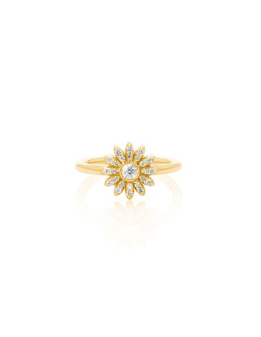 14k Petite Pave Daisy Ring with Bezel Diamond Center 2023