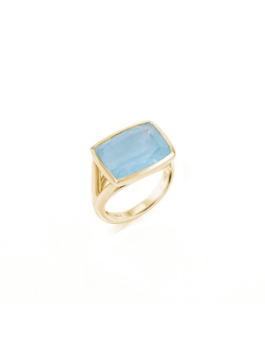 The Joni 14k Gold Cushion Cut Ring - Aquamarine "One of a Kind" hantent personnes